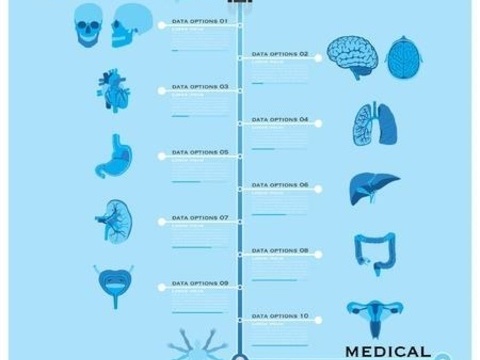 补铁的药品(药品补铁和保健品补铁哪个好)-硒宝网