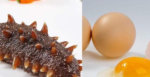 吃海参能补硒元素吗（海参含硒元素吗）-硒宝网