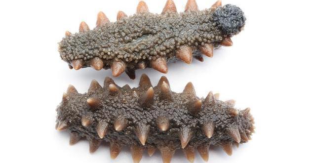 吃海参能补硒元素吗（海参含硒元素吗）-硒宝网