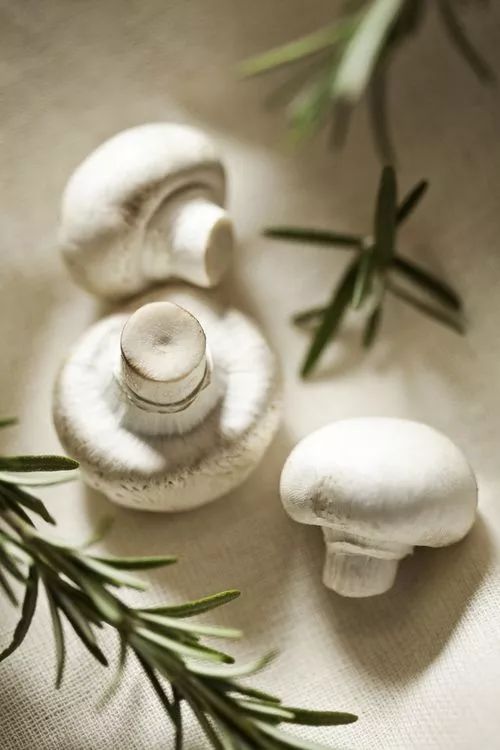 什么菜是补硒的蔬菜(补硒的蔬菜有哪些)-硒宝网