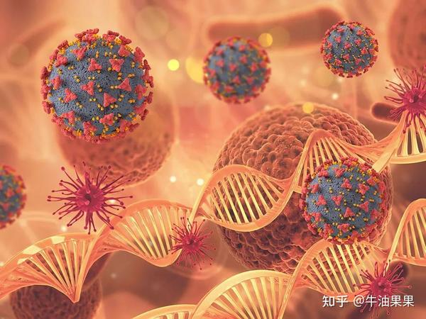 桥本需要补维d和硒（桥本补硒吃多久）-硒宝网