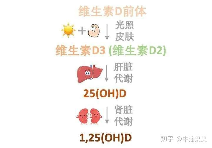 桥本需要补维d和硒（桥本补硒吃多久）-硒宝网