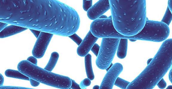 腰果和什么吃最补硒(腰果硒可以长期服用吗)-硒宝网