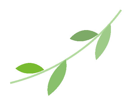 补硒肠道更健康的药(硒对肠道的作用)-硒宝网