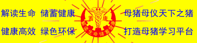 仔猪补硒在什么时间（补仔猪时间硒含量多少）-硒宝网