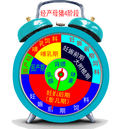 仔猪补硒在什么时间（补仔猪时间硒含量多少）-硒宝网