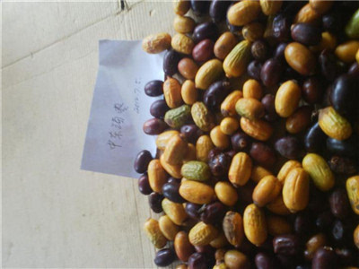 补铁的零食(吃什么零食补铁)-硒宝网