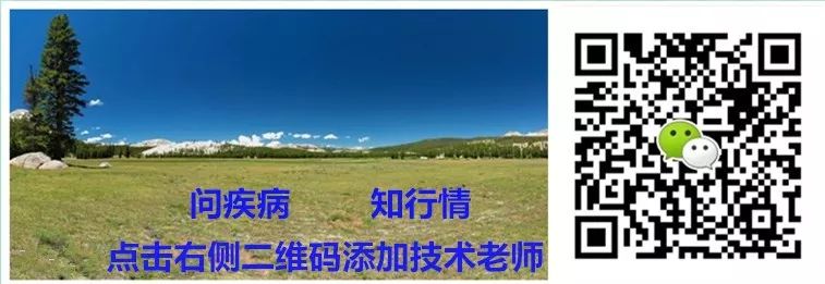 仔猪补硒在什么时间（仔猪有没有必要补硒百度文库）-硒宝网