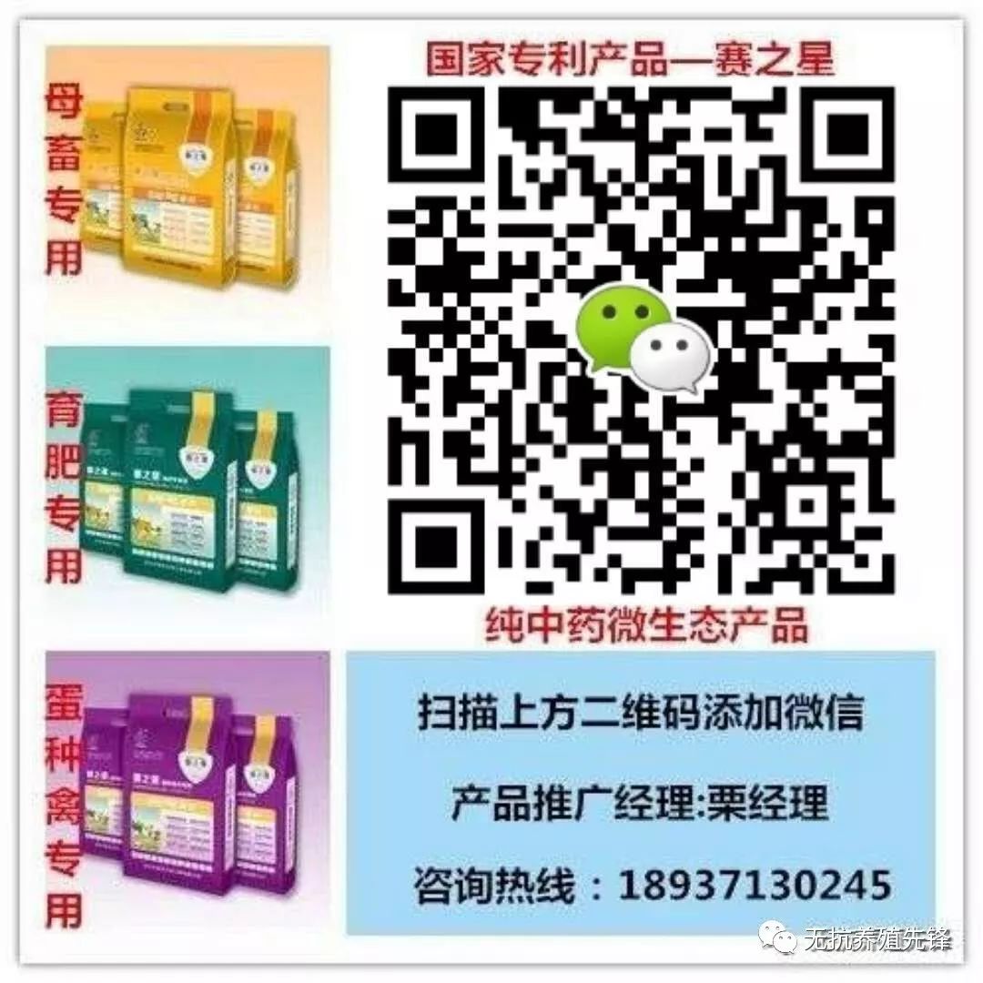 仔猪补硒在什么时间（仔猪有没有必要补硒百度文库）-硒宝网