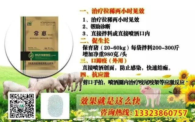 仔猪补硒在什么时间（仔猪七天补硒有什么好处）-硒宝网