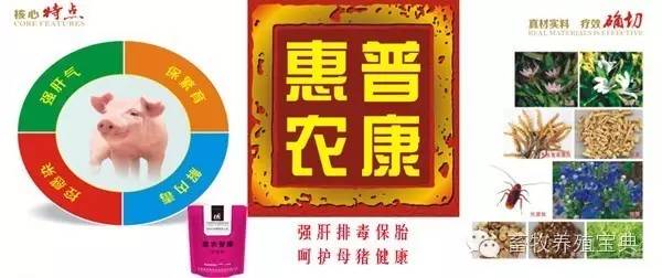 仔猪补硒在什么时间（仔猪七天补硒有什么好处）-硒宝网