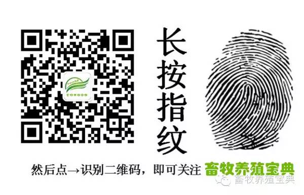 仔猪补硒在什么时间（仔猪七天补硒有什么好处）-硒宝网