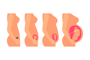 吃苹果补钙吗(苹果补钙有什么好处)-硒宝网