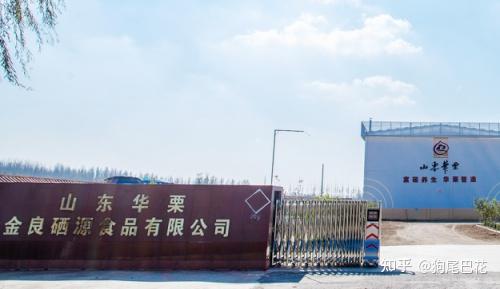 为什么补硒刻不容缓（补硒一般要连续补多久）-硒宝网