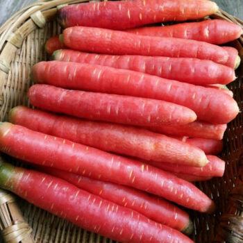 儿童补锌的作用（儿童作用补锌的药物）-硒宝网