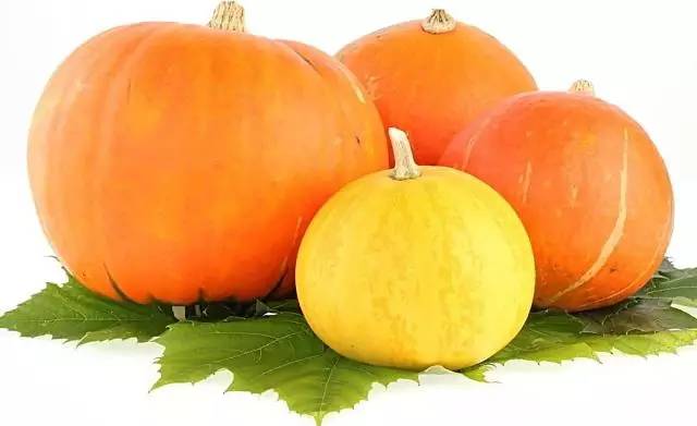 甲亢突眼为什么补硒(甲亢补硒的药)-硒宝网