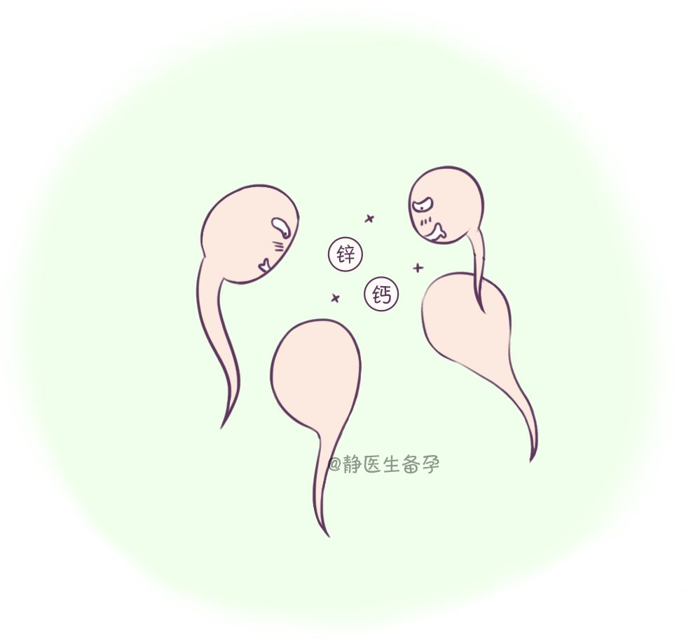 锌硒备孕期补多少量(备孕补锌硒吃什么)-硒宝网