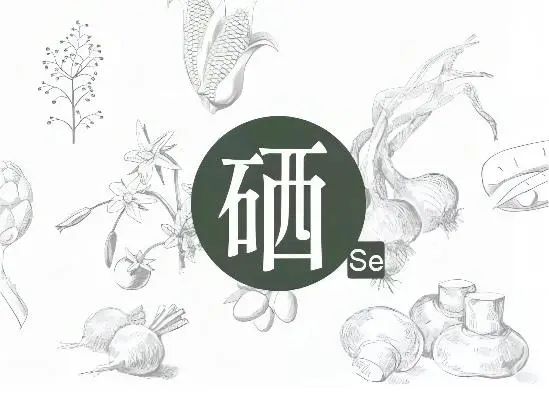 提高免疫力补硒推荐(提高免疫力吃什么硒)-硒宝网