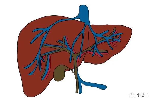 提高免疫力补硒推荐（提高免疫力补硒有用吗）-硒宝网