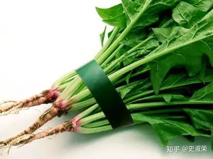 吃菠菜能补铁吗（菠菜能吃补铁的东西吗）-硒宝网