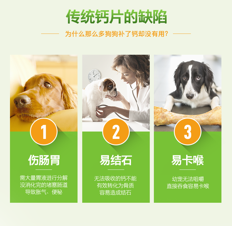 怎么给狗补钙（补钙狗狗吃什么）-硒宝网