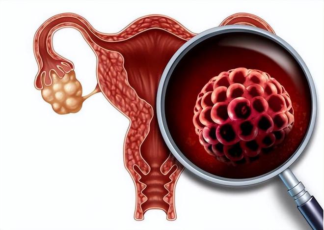 50岁以后要补硒吗(硒需要额外补充吗)-硒宝网