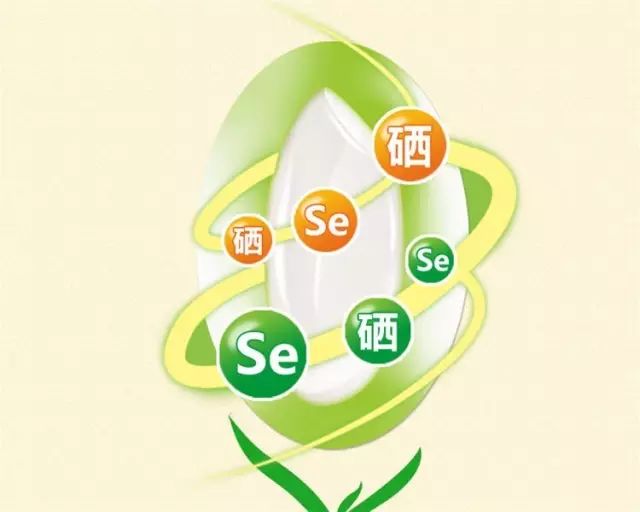 补硒对人体很重要吗（人体补硒的好处）-硒宝网