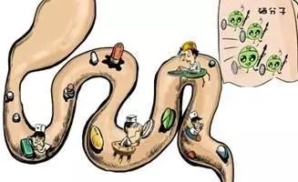 补硒对人体很重要吗（人体补硒的好处）-硒宝网