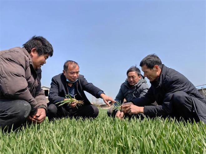 不同人群的补硒标准(人群补标准硒多少钱)-硒宝网