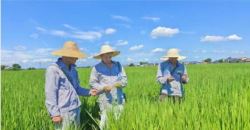 不同人群的补硒标准(人群补标准硒多少钱)-硒宝网