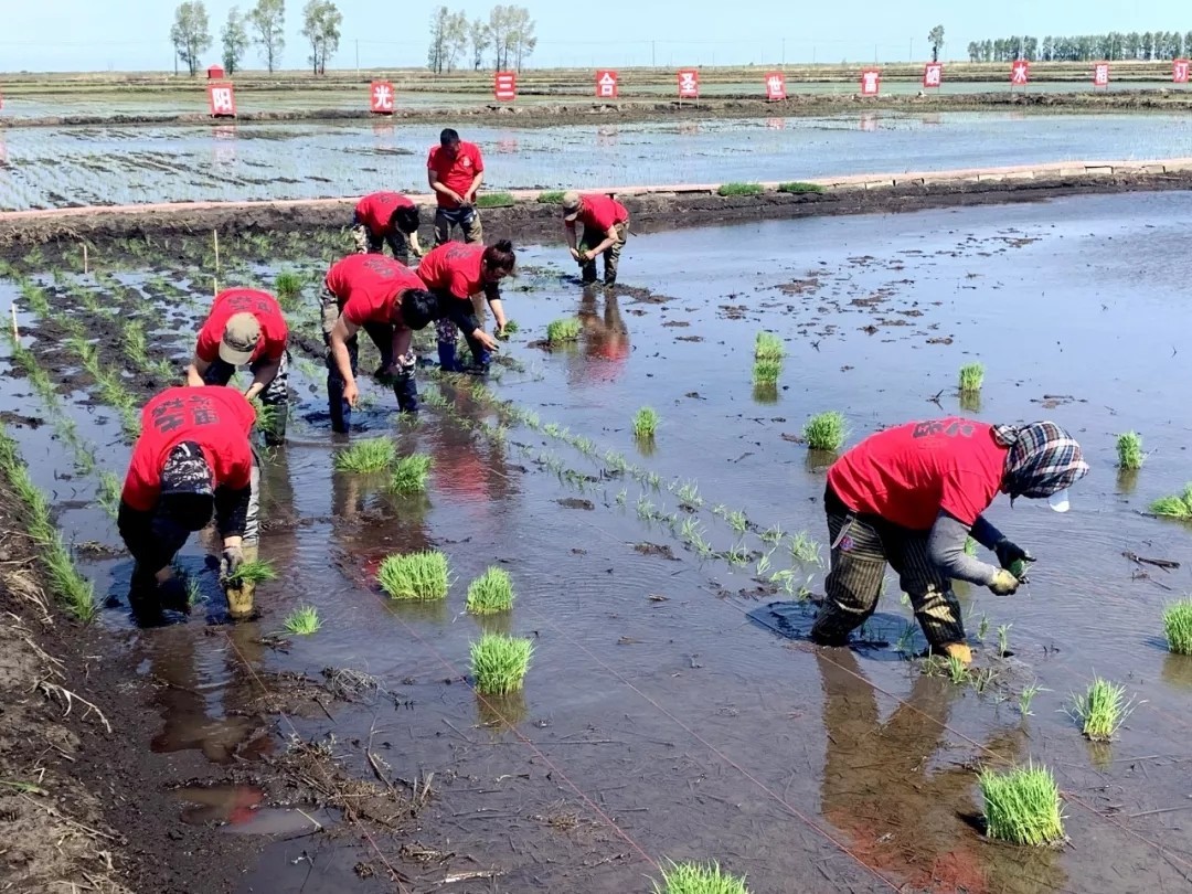 不同人群的补硒标准(人群补标准硒多少钱)-硒宝网