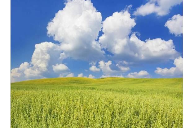 奶片能补钙吗(补钙奶片可以长期吃吗)-硒宝网