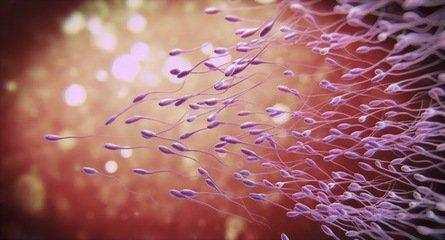 女人备孕需要补硒吗（备孕补硒的好处）-硒宝网