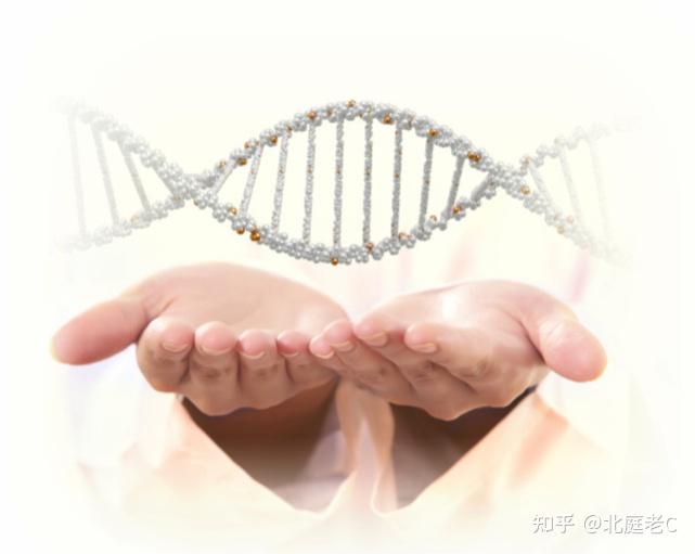 高尿酸能补硒吗女性（尿酸高吃硒行吗）-硒宝网