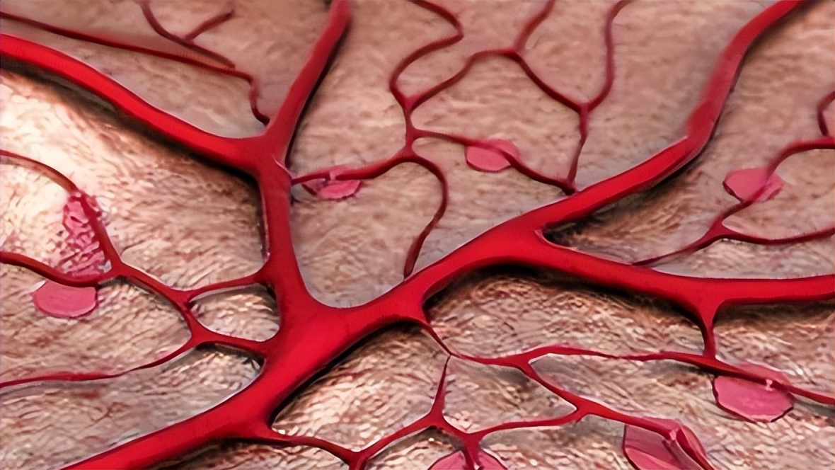 如何补硒最有效果呢（补硒好处）-硒宝网