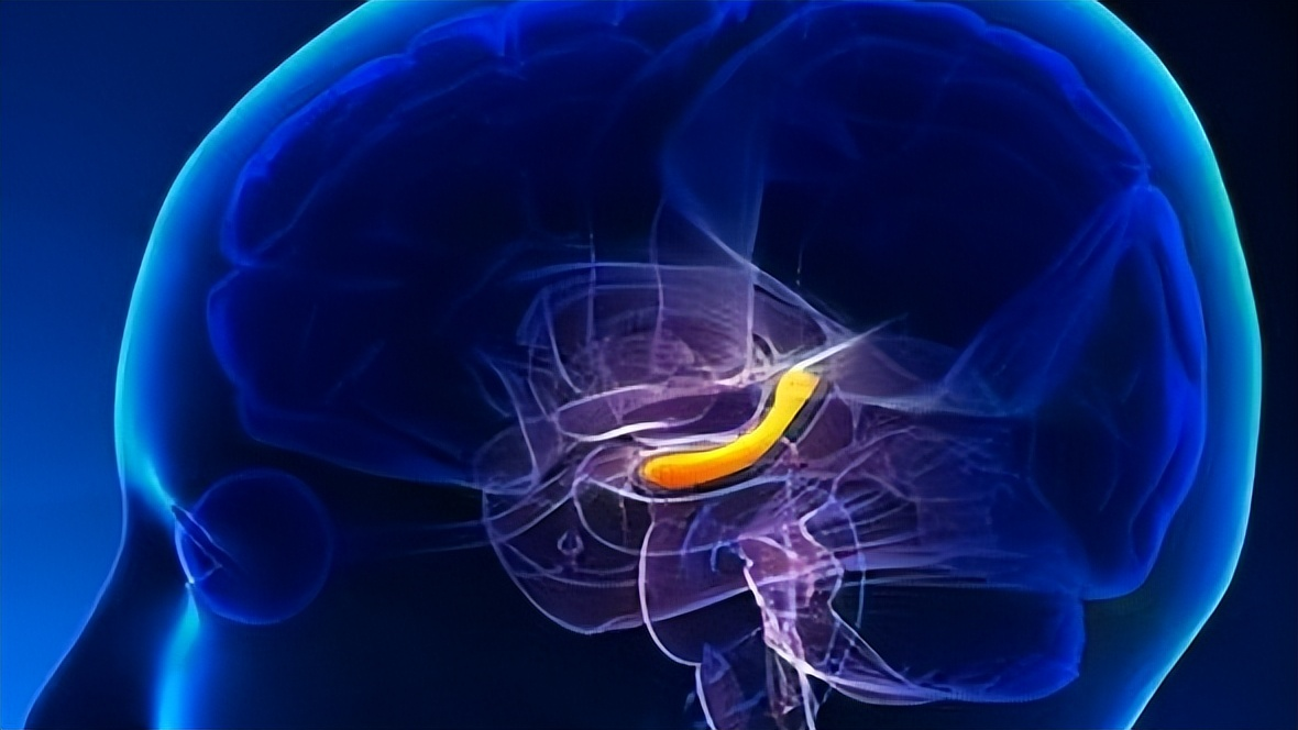 如何补硒最有效果呢（补硒好处）-硒宝网