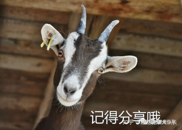 骨头汤是补硒的食物(硒对骨头的作用)-硒宝网