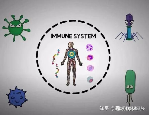 骨头汤是补硒的食物(硒对骨头的作用)-硒宝网
