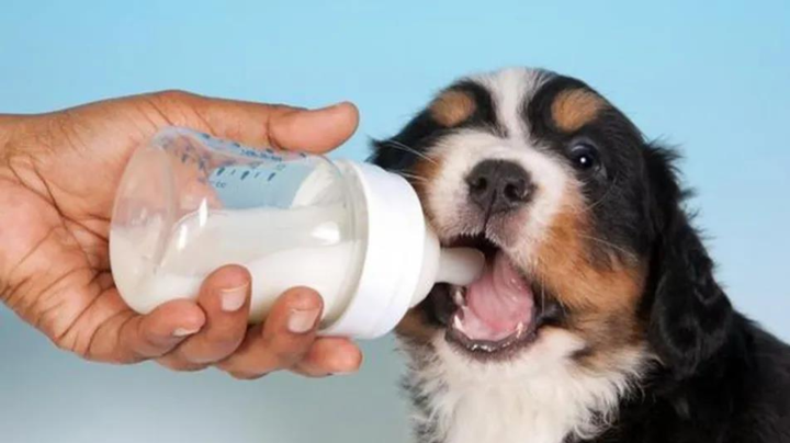 骨头汤是补硒的食物（骨头补汤食物硒是高钙的吗）-硒宝网