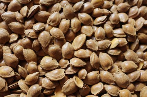 牡蛎补钙吗(补钙牡蛎壳煮多长时间)-硒宝网