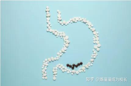 补补钙(怎么食补补钙)-硒宝网