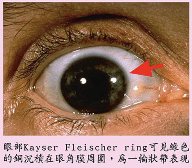 微量元素表口诀(微量元素表口诀怎样好背)-硒宝网