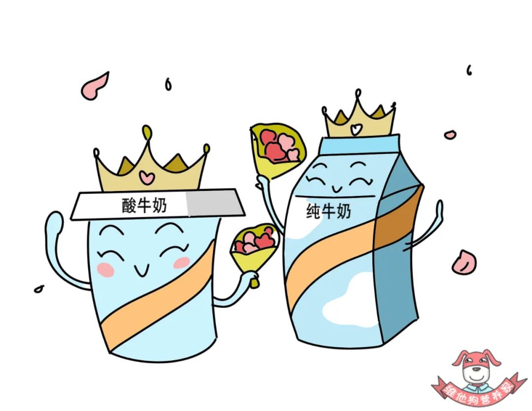 喝酸奶补钙还是喝纯奶补钙(喝补钙酸奶奶纯奶好吗)-硒宝网
