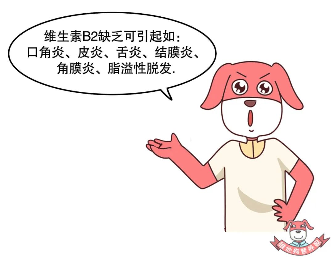 喝酸奶补钙还是喝纯奶补钙(喝补钙酸奶奶纯奶好吗)-硒宝网