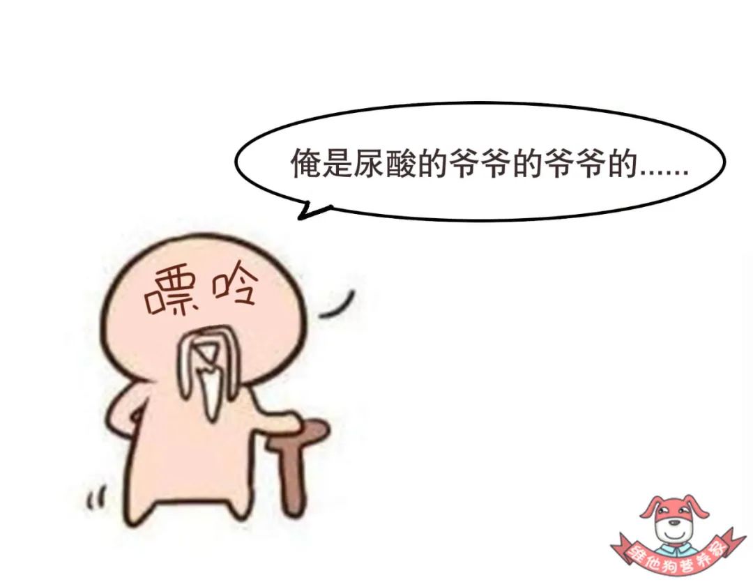 喝酸奶补钙还是喝纯奶补钙(喝补钙酸奶奶纯奶好吗)-硒宝网