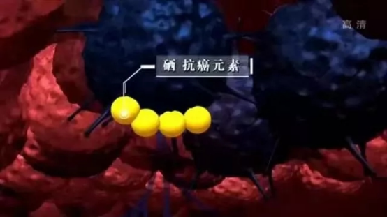 成年人缺硒怎么补快(成人缺硒有什么症状)-硒宝网