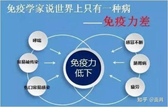 给猪补硒的药有哪些（猪补硒过量怎么办）-硒宝网