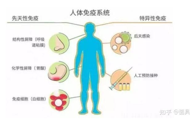 给猪补硒的药有哪些（猪补硒过量怎么办）-硒宝网