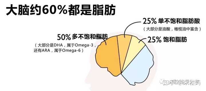 补钙对长高有用吗(长高补钙有用吗)-硒宝网