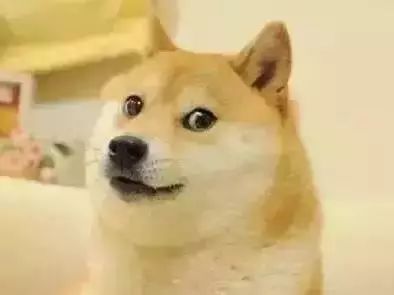 喝酸奶补钙还是喝纯奶补钙（喝补钙酸奶奶纯奶的好处）-硒宝网